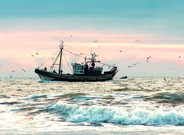 Barco en el mar